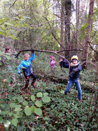 IMG_20191009_141118248