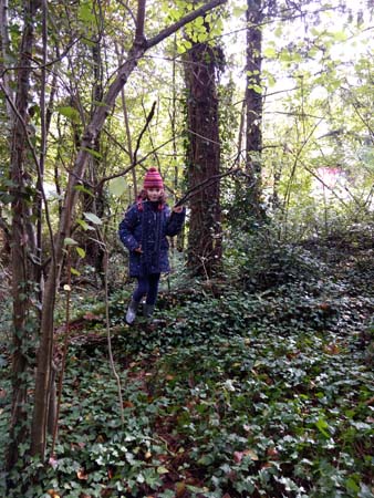 IMG_20191009_141156203