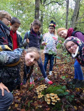 IMG_20191010_115947156