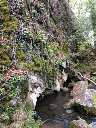 IMG_20191010_142745868