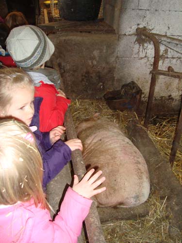 visite à la ferme 19 04 2012 005