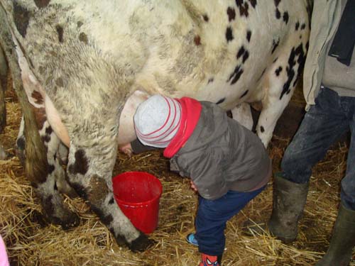 visite à la ferme 19 04 2012 067