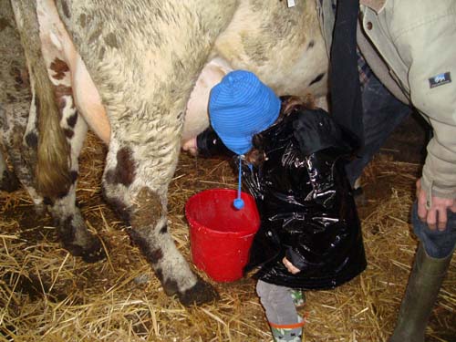 visite à la ferme 19 04 2012 070