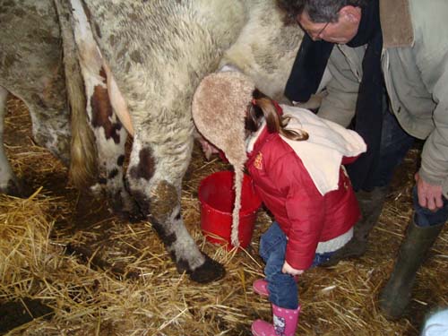 visite à la ferme 19 04 2012 079