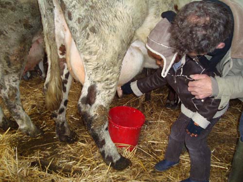 visite à la ferme 19 04 2012 083