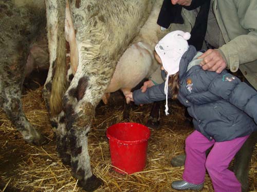 visite à la ferme 19 04 2012 086