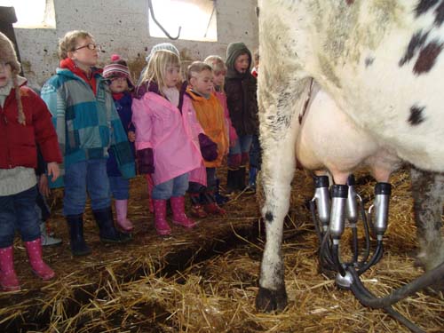 visite à la ferme 19 04 2012 094