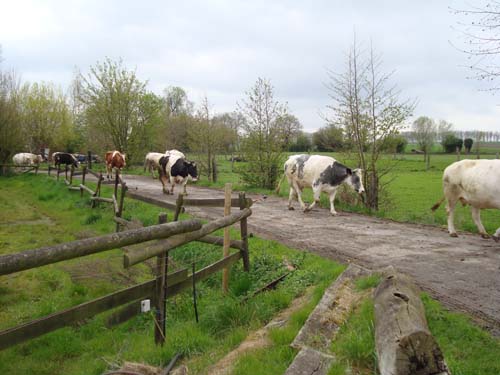 visite à la ferme 19 04 2012 097