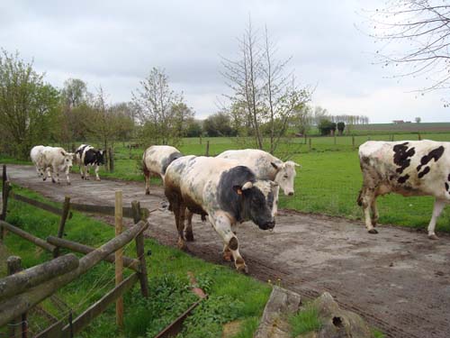 visite à la ferme 19 04 2012 099