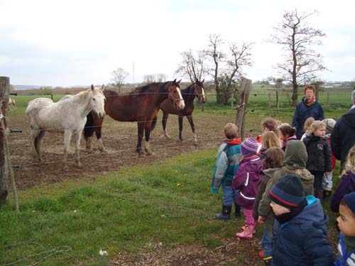 visite à la ferme 19 04 2012 109