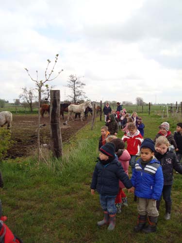 visite à la ferme 19 04 2012 113