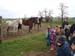 visite à la ferme 19 04 2012 109