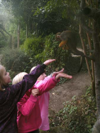 BILD2584