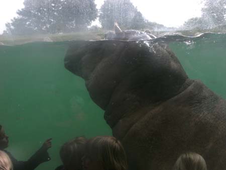 BILD2810