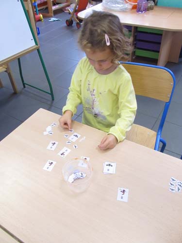 IMG_7228 - Copie
