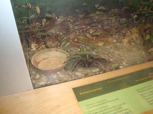 DSC06014