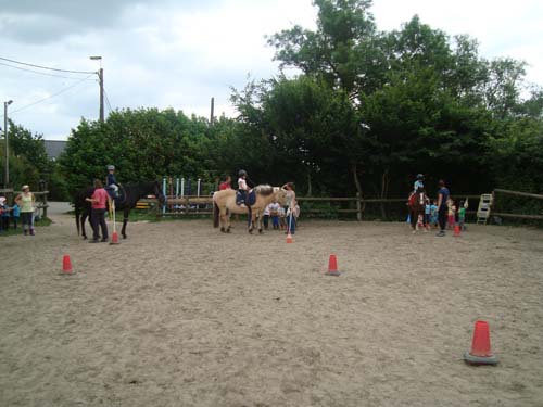 DSC06804