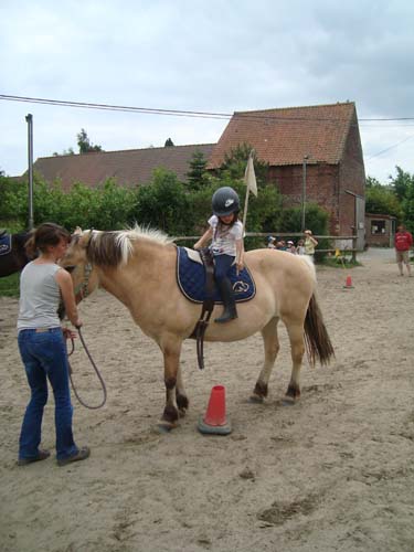 DSC06819