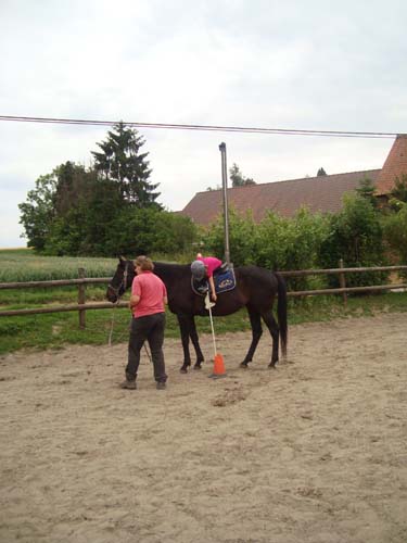 DSC06820