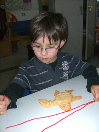 IMG 069
