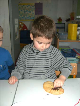 IMG 077