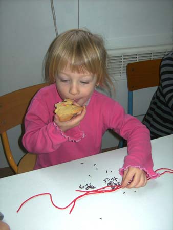 IMG 096