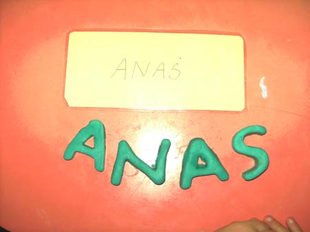 BILD1738